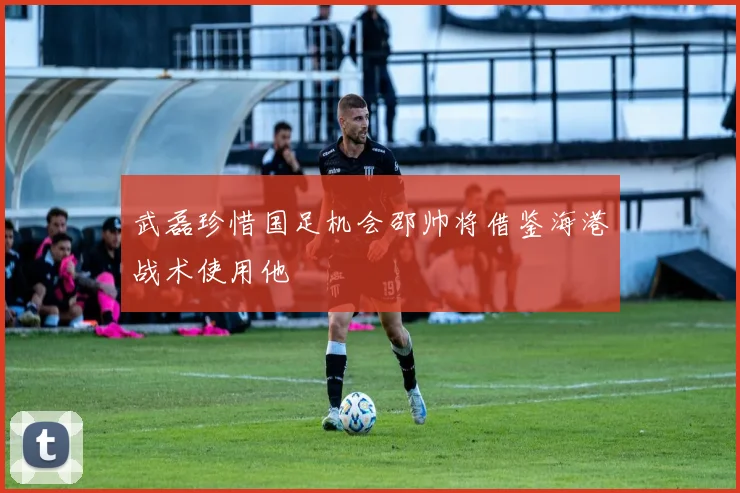 武磊珍惜国足机会邵帅将借鉴海港战术使用他