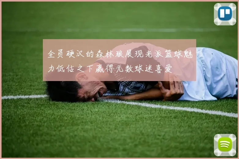 全员硬汉的森林狼展现老派篮球魅力低估之下赢得无数球迷喜爱